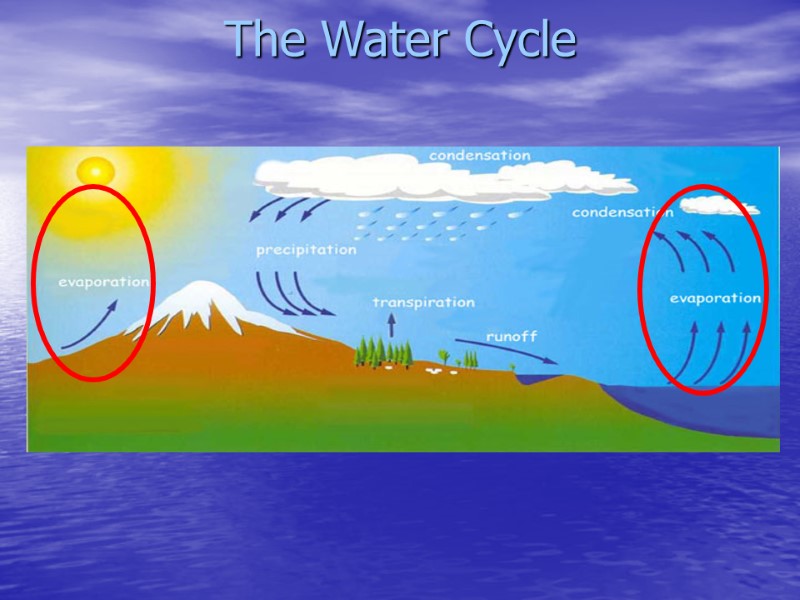 The Water Cycle